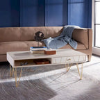 1-Drawer 1-Shelf Living Room Coffee Table - 43 W x 21.6 L x 16 H - 43Wx22Dx16H